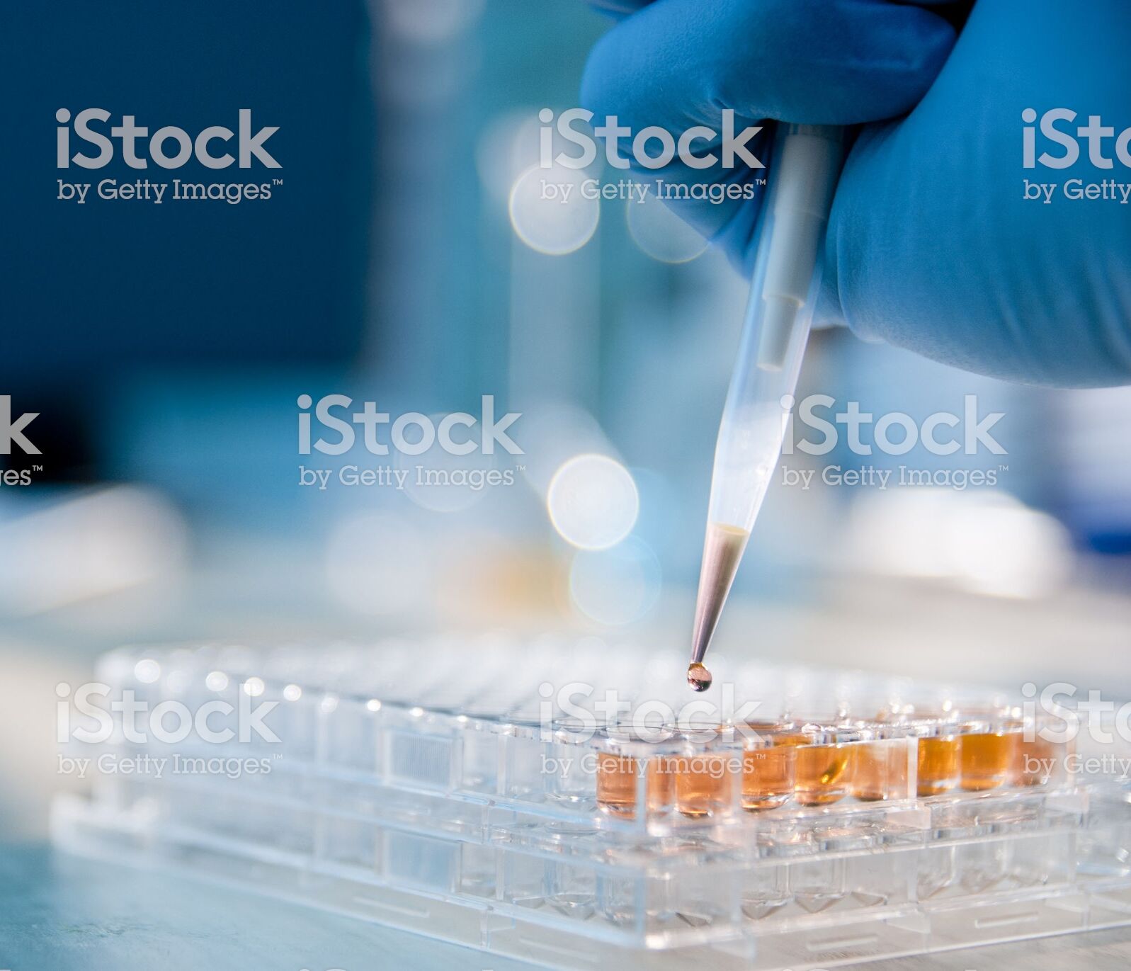 lab Technician Injecting Liquid Into A Microtiter Plate