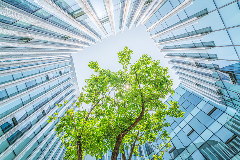 abatement Capacity Assessment abatement Capacity Assessment